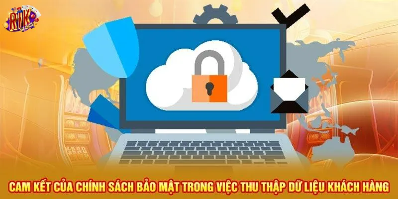 cam-ket-cua-chinh-sach-bao-mat-Rikvip-trong-viec-thu-thap-du-lieu-khach-hang